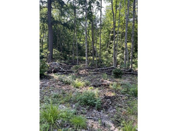 2137 N Hulbert Rd, Hulbert, MI 49768