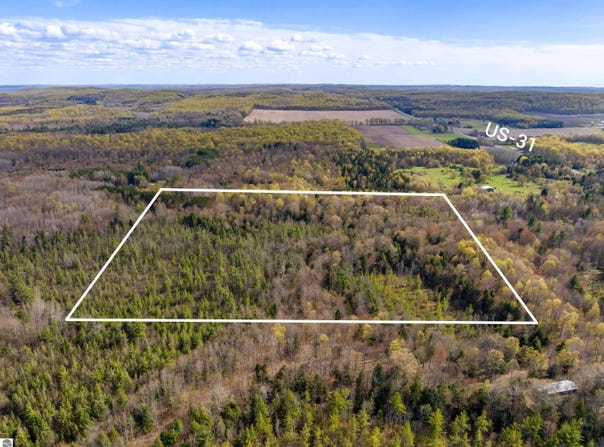 00 BENZIE HIGHWAY, BENZONIA, MI 49616