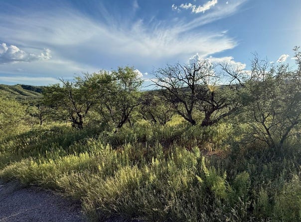 1107 VIA JACARANDA, Rio Rico, AZ 85648