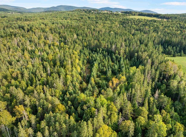 Harrys Way, Colebrook, NH 03576