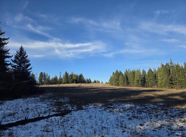 407 Memory Lane, Orofino, ID 83544