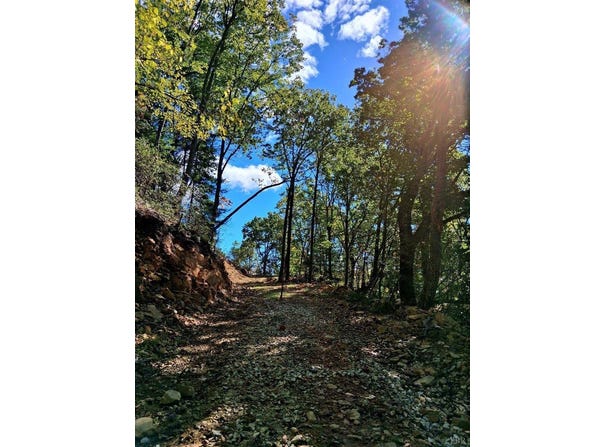 0 Mount Horeb Road, Amherst, VA 24521