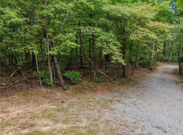 Clearview Drive, Jasper, GA 30143