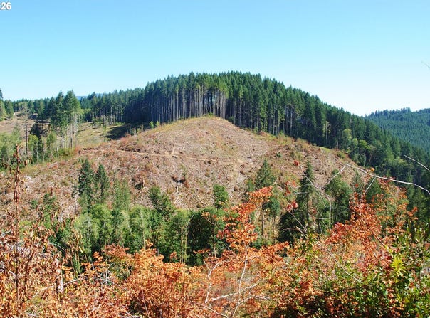Van Horn (140) Rd, Alsea, OR 97324