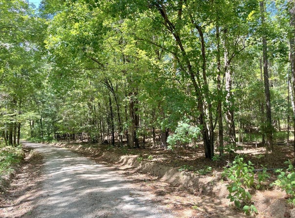 -- Willington Academy Drive, Mc Cormick, SC 29835