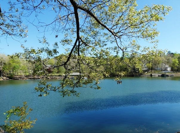 BULL BR Dr, Double Springs, AL 35553