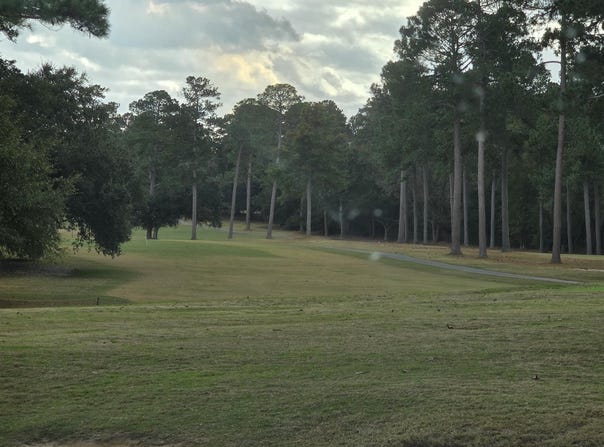 110 Cooper Drive, Santee, SC 29142