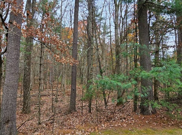 Summit Dr lot: 28, Eldred, NY 12732