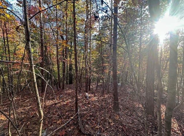 Dones Drive lot: 8, Murphy, NC 28906