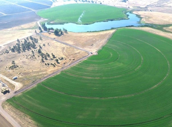 540-090 Little Valley Road, Mc Arthur, CA 96056