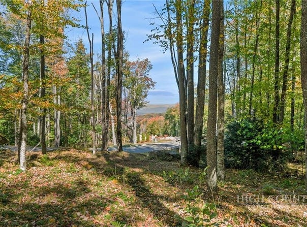 ES-97 Twisted Oak Path, Banner Elk, NC 28604