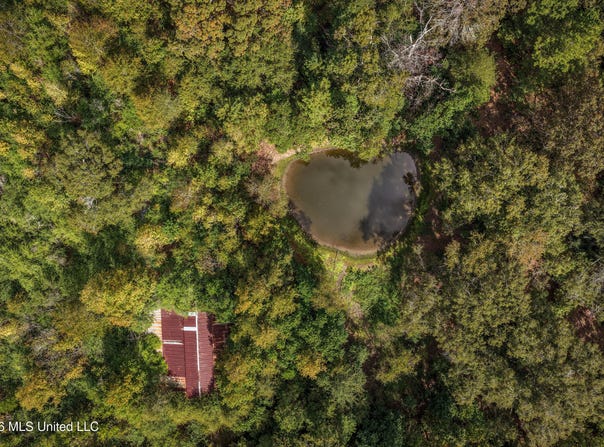 Allen Lane, Magnolia, MS 39652