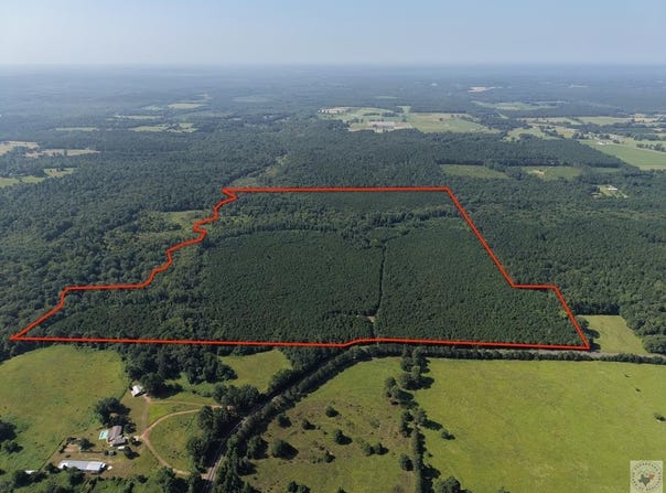 11254 FM 250, Naples, TX 75568
