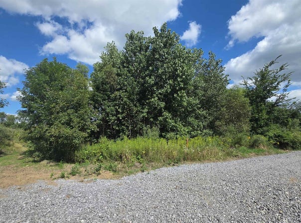 18000 blk #3 Forrister Road, Hudson, MI 49247