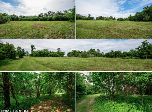 9 HALYON ESTATES lot: 9, Perry, MO 63462