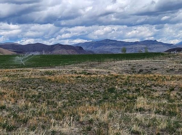 720 Conestoga Crossing, Challis, ID 83226