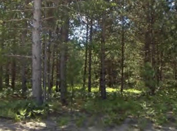 Bergstrom Drive, Kaleva, MI 49645