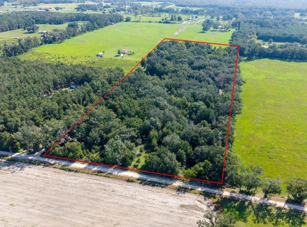 2450 SW 25th Ave, Bell, FL 32619