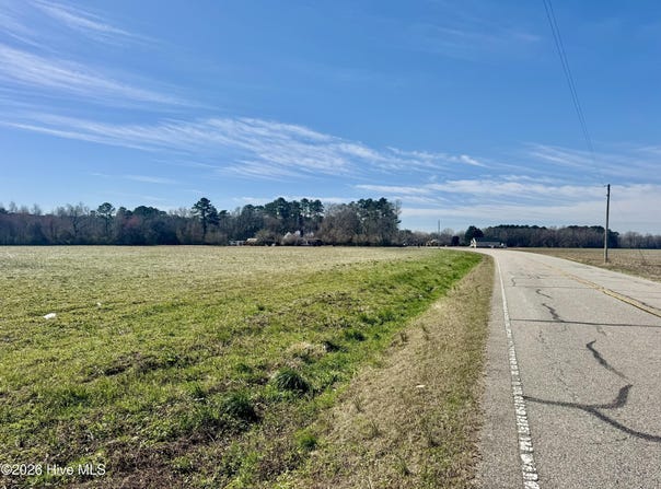 Tract 1 Haynes Lennon Highway, Cerro Gordo, NC 28430