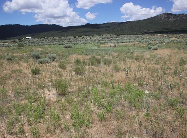 Shirley Drive lot: 10, Questa, NM 87556