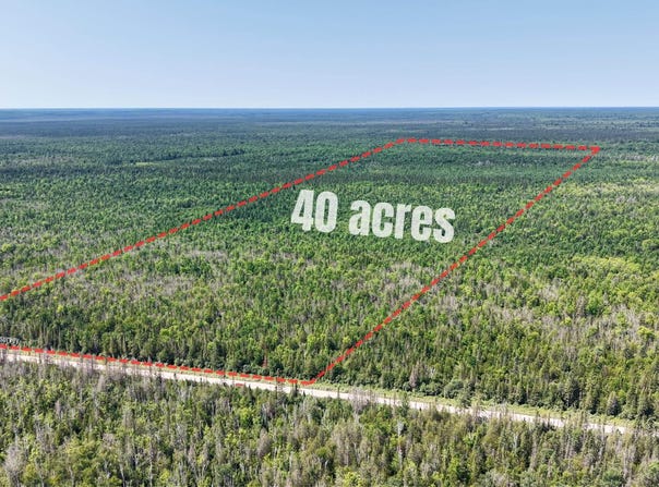 E N Co Rd 415, McMillan, MI 49853
