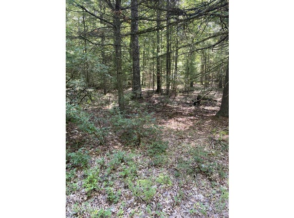 Cricket Hill Road lot: 35, Hawley, PA 18428