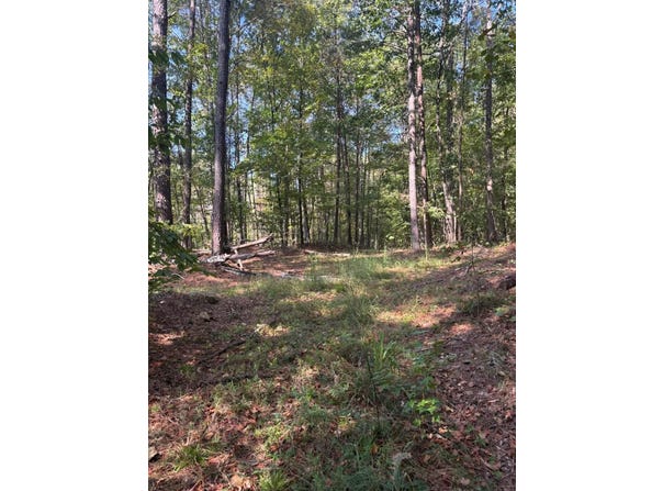 5421 DIXIE SPRINGS Rd, Oakman, AL 35579