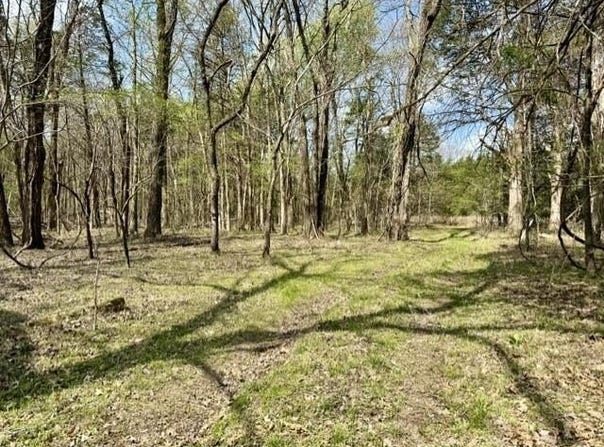 Milligan Campground Road, Strawberry, AR 72469