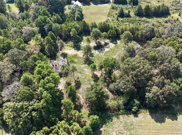 Winfree Lane, Melbourne, AR 72556