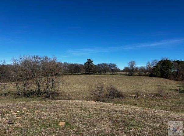 CR 3330, Omaha, TX 75571