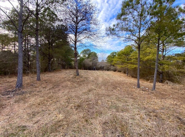 Co. Rd. 9, Eldridge, AL 35554