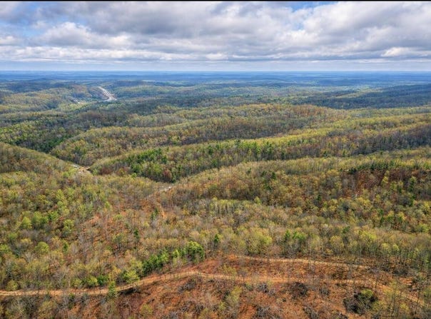 Camp Branch Road, Hazel Green, KY 41332