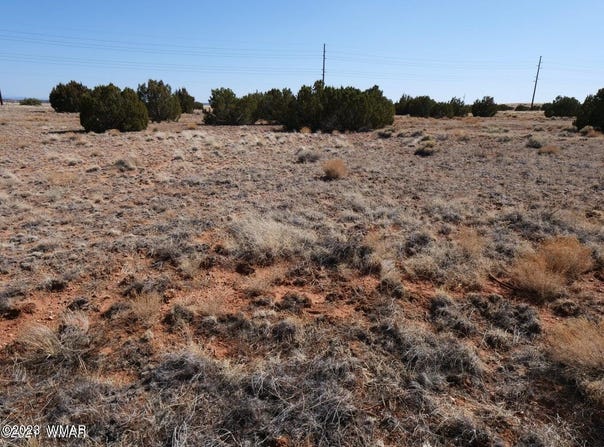 Richard Dr, Snowflake, AZ 85937