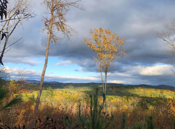 Route 302, Newbury, VT 05051