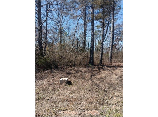 307 Roberts St, Hamilton, AL 35570