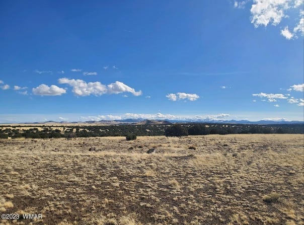 CR 5141, Concho, AZ 85924