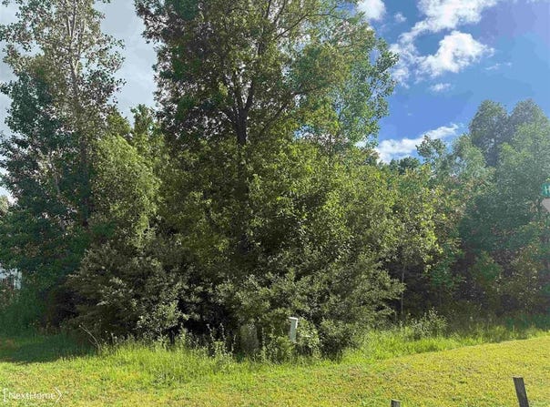 VL Lot 53 Willow Trail, Grand Blanc Charter Township, MI 48439