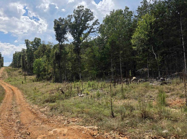 L38 B6 Old CC Road, Hardy, AR 72542