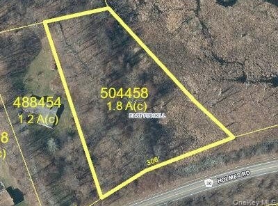 552 Holmes Road, Holmes, NY 12531