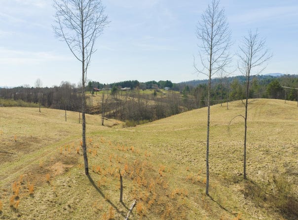 Carsonville Road, Independence, VA 24348