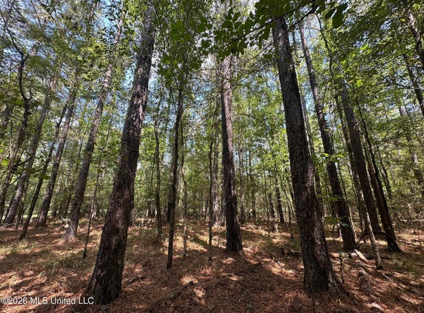 7 Forest Service Road 562, Pulaski, MS 39152