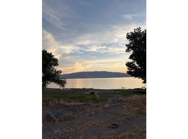 263 N 350 W, Vineyard, UT 84059