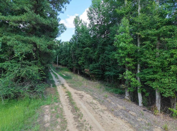 El Dorado Springs, AR 71730