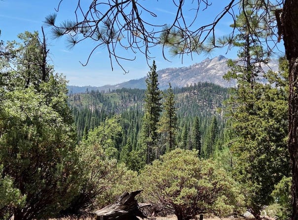 167 Pine Cone Path, North Fork, CA 93643