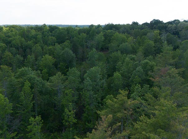 Pond Road lot: 1, Burnham, ME 04922