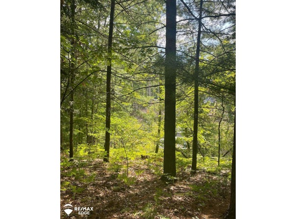 Eagle Nest Lane, Alger, MI 48610