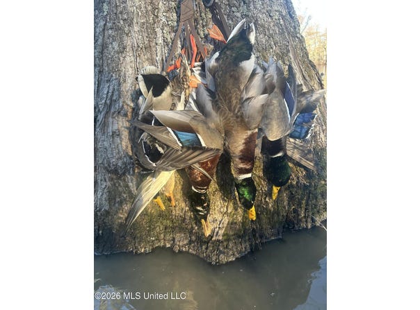 County Rd 550, Minter City, MS 38944