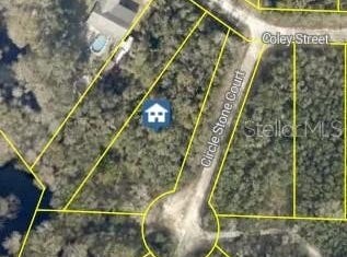 8279 COLEY Street, WEBSTER, FL 33597