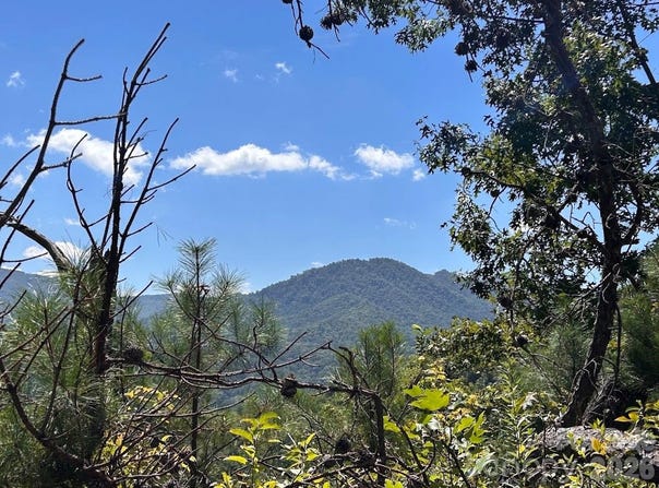 9999 US Hwy 441 S, Sylva, NC 28779