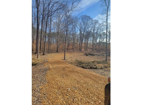 181 VALLEY OAK DRIVE, BUCHANAN, TN 38222